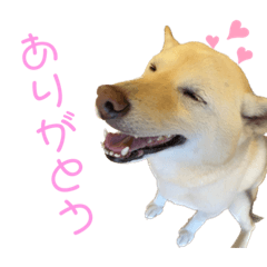 arisa_20221103150451