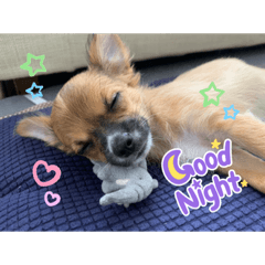 yuka_20221103173051