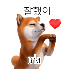 Shiba Dogs Doge 01