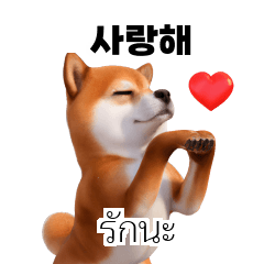 Shiba Dogs Doge #4