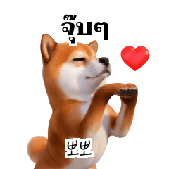 Shiba Inu Dog TH KR 1