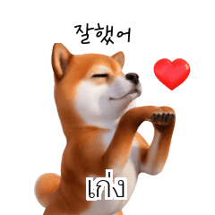 KR TH Shiba Inu