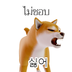 TH KR Shiba Inu 2