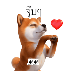 TH KR Shiba Inu #4