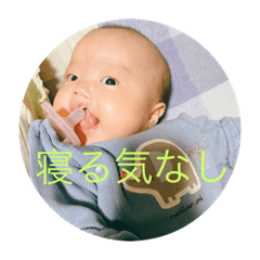 Hikari_20221103233822