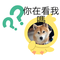 可愛多多可愛黑黑