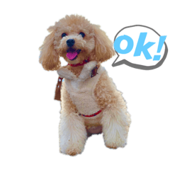 natsumi_20221104013120