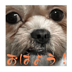 てつほしのスタンプ