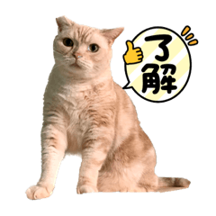suzu_20221103232943