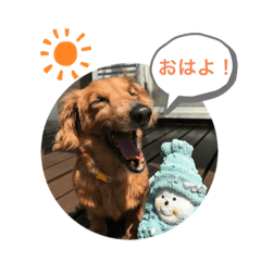 YUKARI_20221103223020