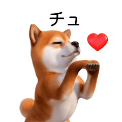 Cute Shiba Inu 40p