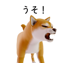 Cute Shiba Inu 40p 1