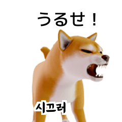 Shiba Inu KRJP 40p