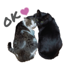 natsumi_20221104131056