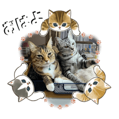 yuka_20221104131827