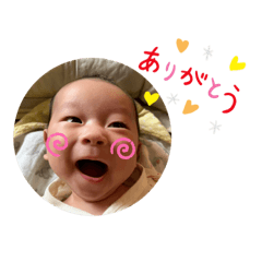 HIKARI_20221104133836