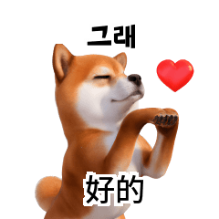 Shiba Inu 24p TW CN KR 1