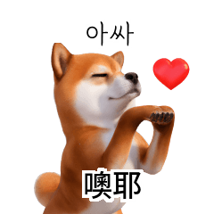 Shiba Inu 24p TW CN KR 3