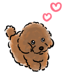 Big toy poodle Hani-chan sticker