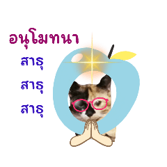 Meaw_20221104153047