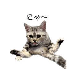 arisa_20221105014252