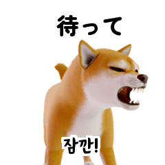 Shiba Inu Dogs JPKR