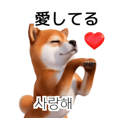 40p Shiba Inu JPKR