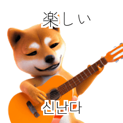 Shiba Inu JP KR 40p