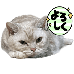 suzu_20221104202948