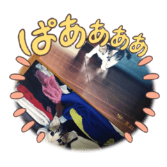 AOi_20221104184704