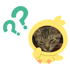 花～虎～日用語篇