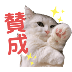 RURU_20221104222210