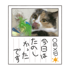 MIYUU_20221104231755