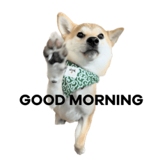 Ronharman_20221105110010