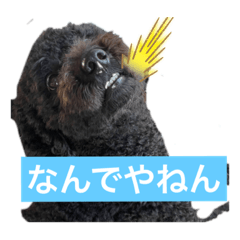 RINA_20221105094359