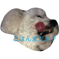 Aoi_20221105120733