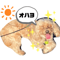 momoko_20221104223059