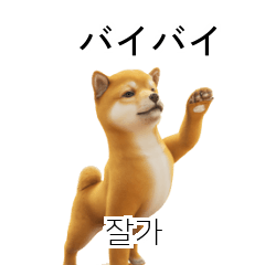 [40] Shiba Inu JPKR