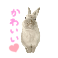 ARISA_20221105132241