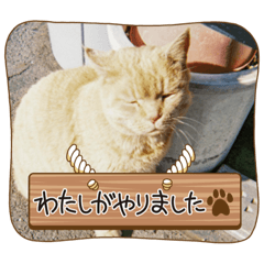 銀ちゃんスタンプ☆②