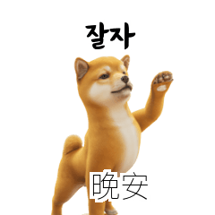 Shiba Inu Dogs TW CN KR