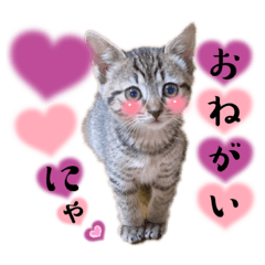 RiNa_20221105155445 – LINE 스티커 | LINE STORE