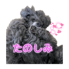 yun_20221105165240
