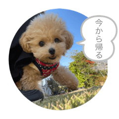 rina_20221105172808