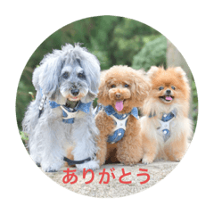 mizuki_20221105173049