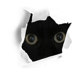 bb_20221105182437