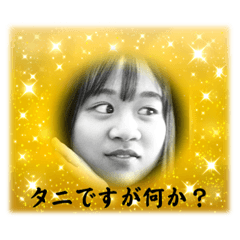 tanuki_20221105200547