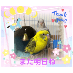 arisa_20221106042708