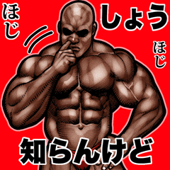 Shou dedicated Muscle macho Big 2