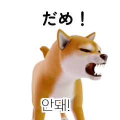 Shiba Inu 40p JPKR A